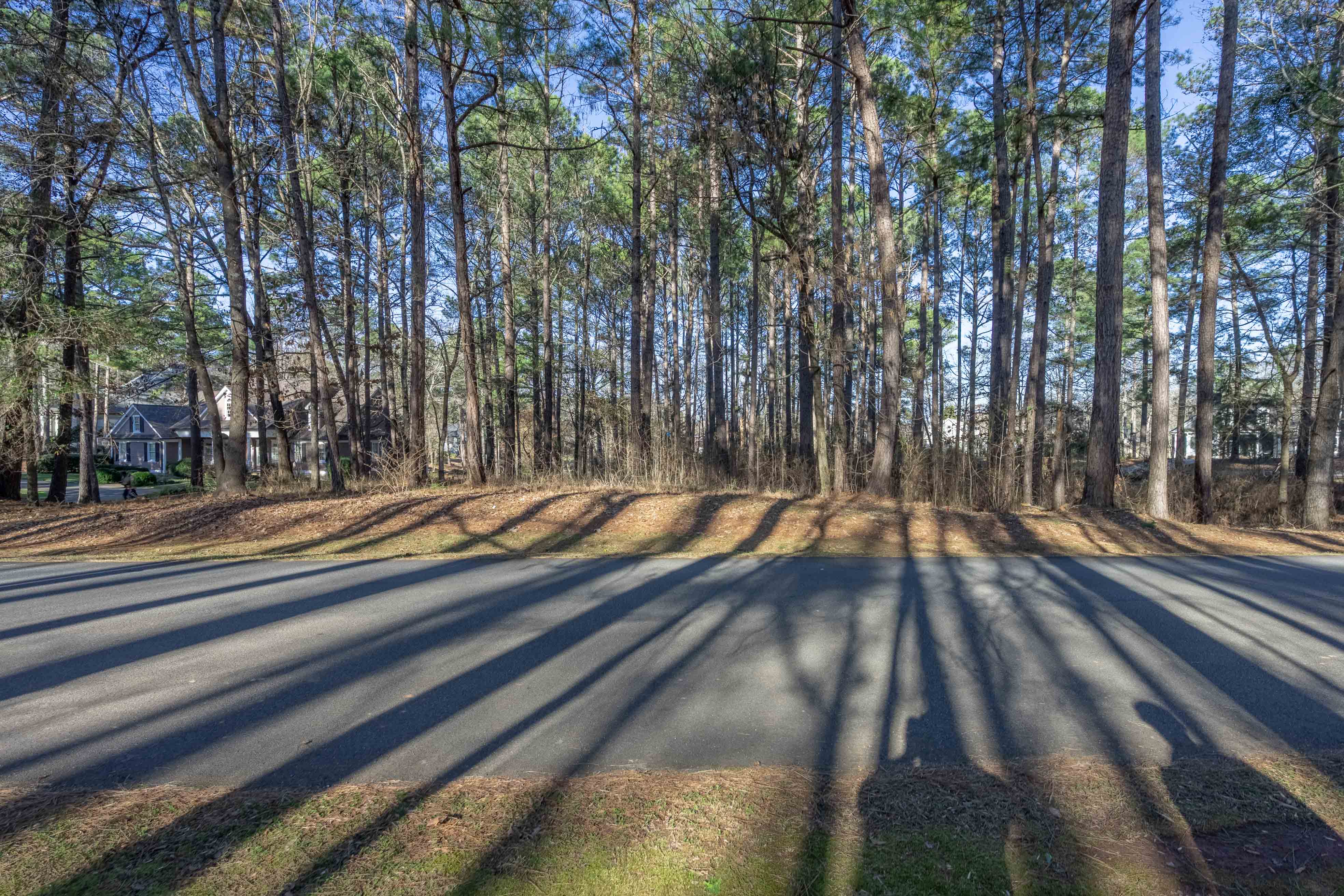 155 Barrington Hall Drive, NE image 3